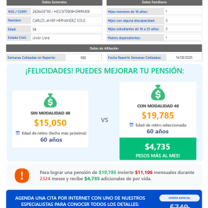 Reporte Simplificado
